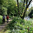 Wanderwege im Ilztal Bayerischer Wald