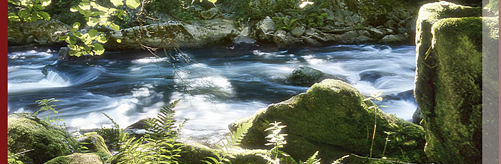 Wandern im Ilztal Bayerischer Wald